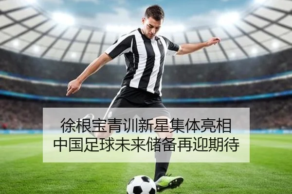 徐根宝青训新星集体亮相 中国足球未来储备再迎期待（hth）